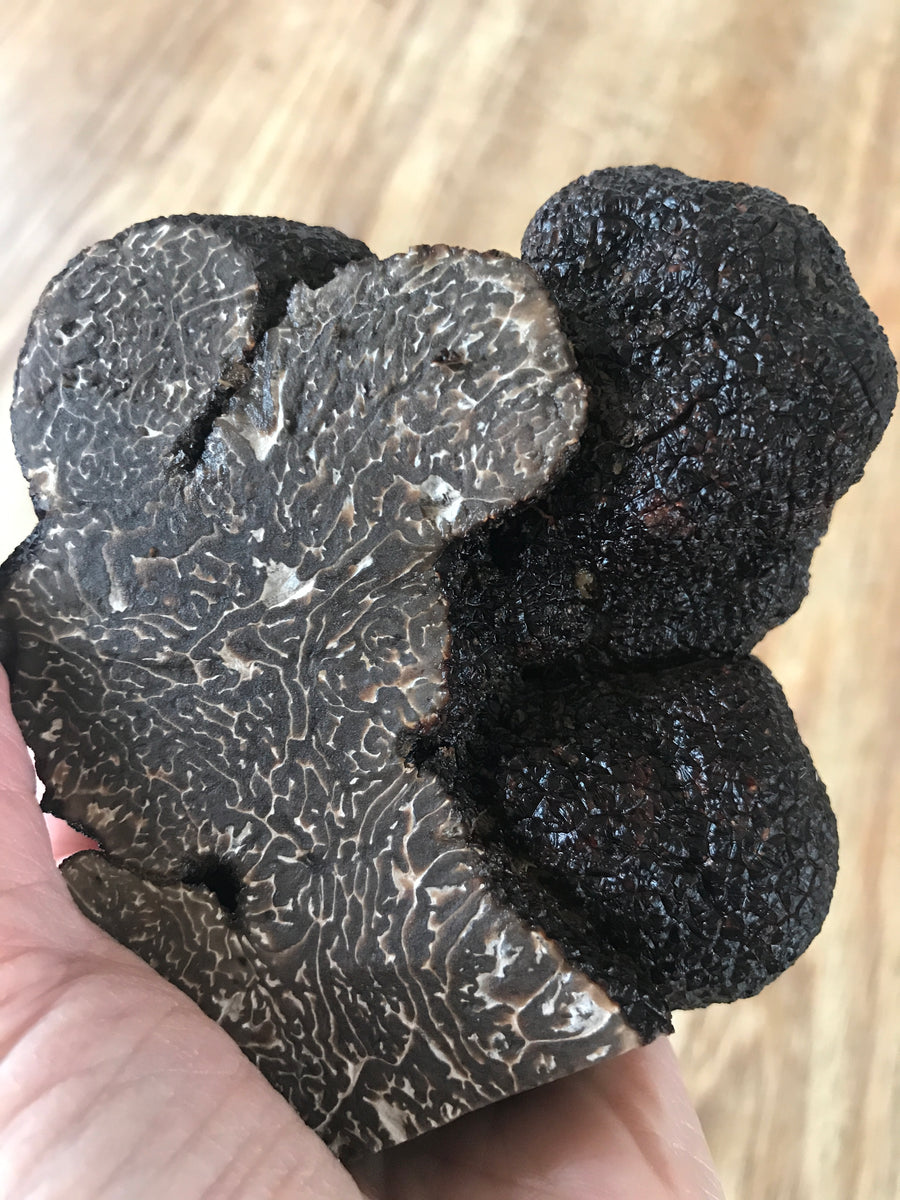 Fresh Black Winter Truffles Main Ridge Truffles Buy Truffles